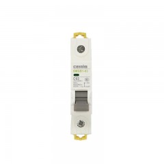 赛米格（SMEG）  小型断路器 SMGB1-63 63A 1级白色