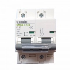 赛米格（SMEG）  小型断路器 SMGB1-125/2P 80A 2级 白色