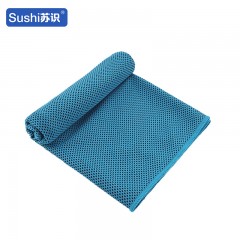 苏识 吸汗速干运动降温冰巾 涤纶宽口瓶装 160g 30*100cm 天蓝 1条装 4180169