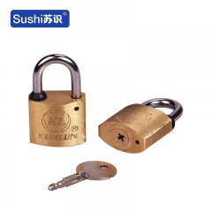 苏识 WJ0079 电表箱锁 十字铜挂锁 通开通用钥匙 防水防锈防撬锁具 户外锁头 30mm