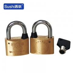 苏识 WJ0037 电力表箱锁 40mm大铜锁 通开利德挂锁 防水防撬户外锁具电表箱锁 普通锁芯