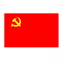 苏识 党旗 00001 6号 60×40cm 个