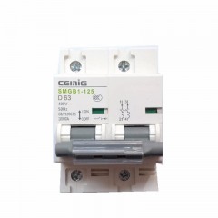 赛米格（SMEG）  微型断路器 SMGB1-125/2P 63A 2级 白色