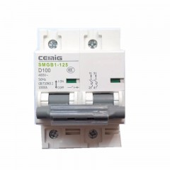 赛米格（SMEG）  微型断路器 SMGB1-125/2P 100A 2级 白色