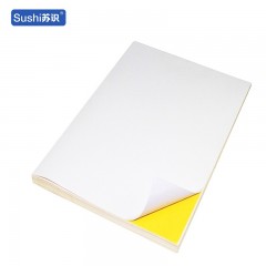 苏识 SSDW491 户外特种标贴包含装 800*60mm （单位：张）