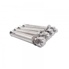 苏识 SSWJ250 膨胀螺丝304不锈钢 M14*80 5个