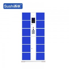 苏识 YJ00025/4 电子存包柜智能储物柜微信指纹条码人脸识别 12门指纹系统