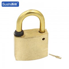 苏识 电力表箱锁纯铜挂锁通开锁加油站油罐锁防爆锁全铜锁通用钥匙防锈 50mm短梁一把锁一把钥匙