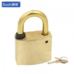苏识 电力表箱锁纯铜挂锁通开锁加油站油罐锁防爆锁全铜锁通用钥匙防锈 50mm短梁一把锁两把钥匙