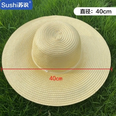 苏识 草帽塑料编织帽遮阳帽劳保工用帽40cm （顶）3310132
