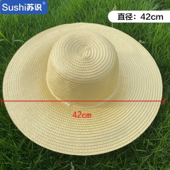 苏识 草帽塑料编织帽遮阳帽劳保工用帽42cm （顶）3310133